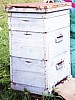hive -33.jpg hive -33.jpg